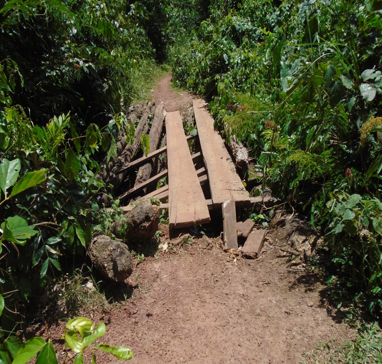 Renovation of the Boende-Monkoto road