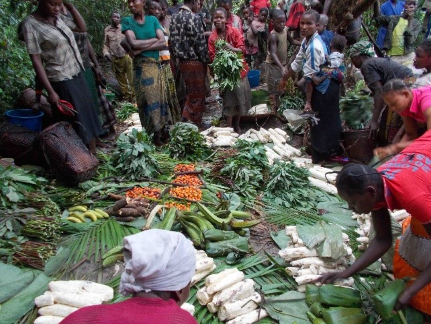 Relation symbiotique entre un village et le parc