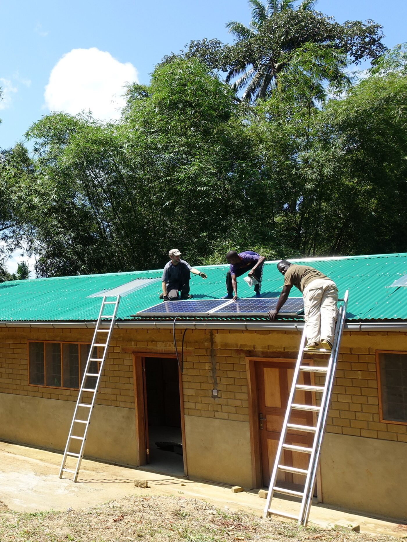 Électrification dans la Salonga – Le point de vue d&rsquo;un expert