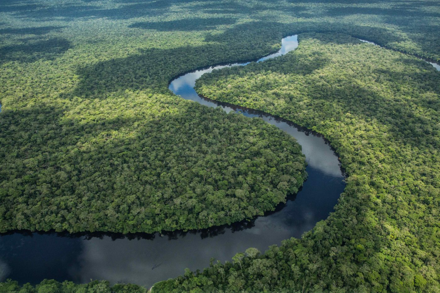fleuve à la Salonga en RDC
