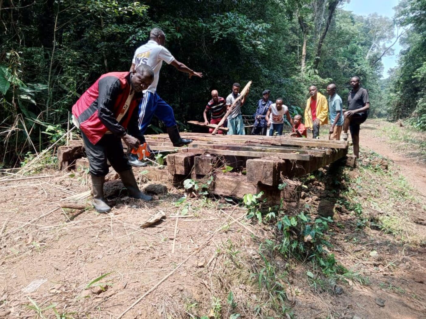 Réhabilitation de 22 ponts sur la route Monkoto–Boende avec l’appui du Parc National de la Salonga 