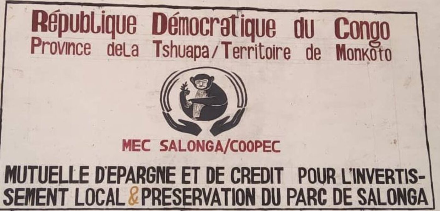 Une révolution financière au cœur de Monkoto