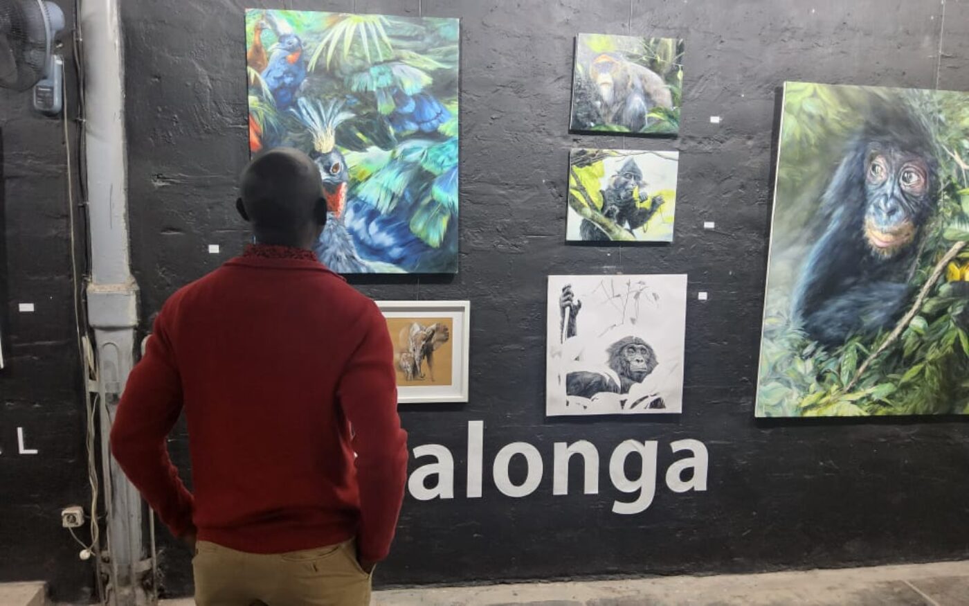 Une immersion dans le Parc National de la Salonga à travers le dessin et la peinture